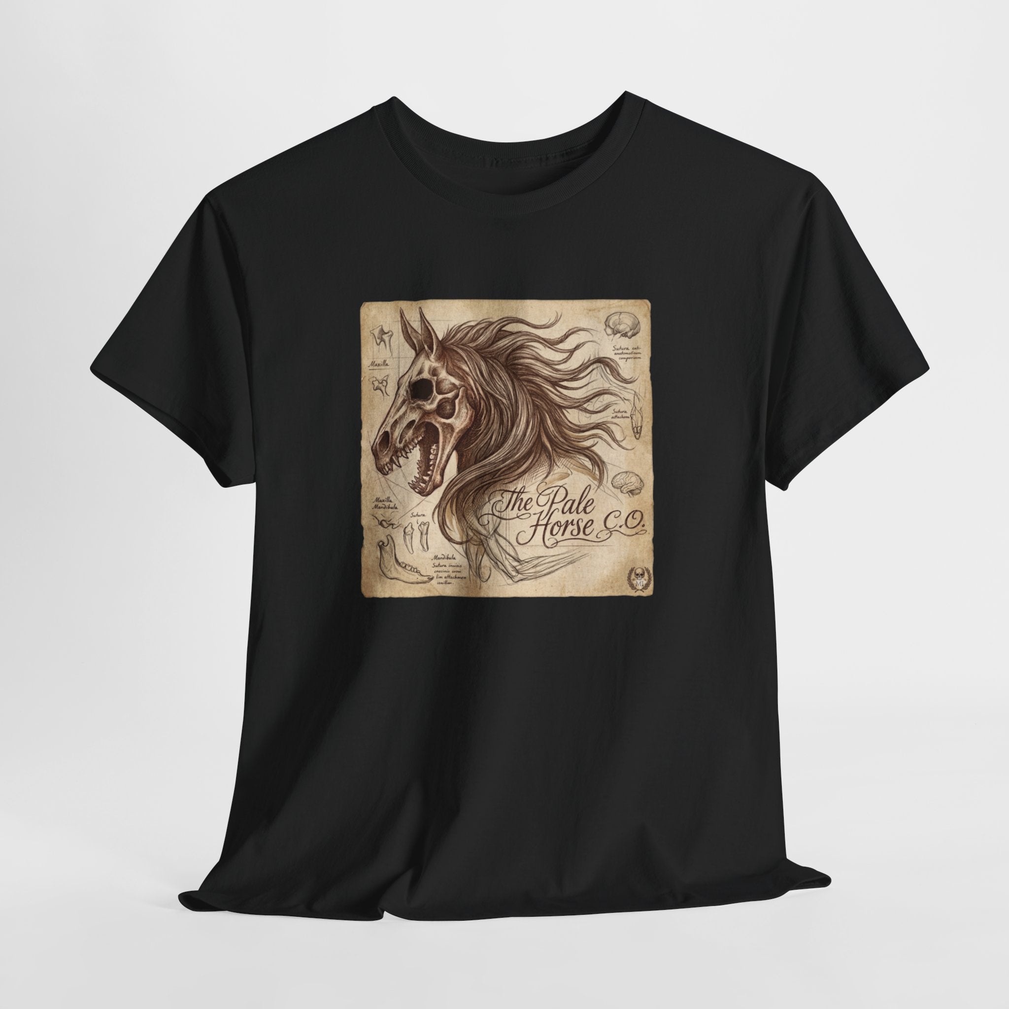 The Pale Horse Vintage Design Light Background