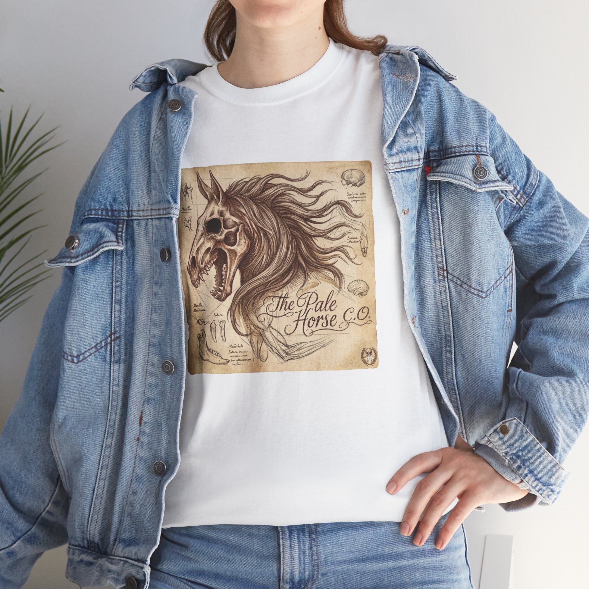 The Pale Horse Vintage Design Light Background